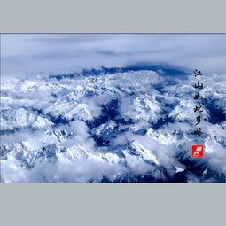 茉莉如此多娇,探寻茉莉的美丽与魅力