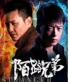 陌路兄弟,跨越命运的羁绊与成长