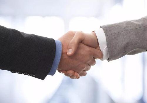 握手者,跨越时空的友谊与和解之旅